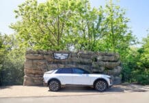 Nashville Zoo Partners With Middle Tennessee Cadillac Dealers in New Community Initiative