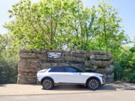 Nashville Zoo Partners With Middle Tennessee Cadillac Dealers in New Community Initiative