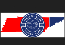 USFWS Approves Tennessee Swap Plan