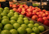 Retail Food Health Scores for Cannon County June 11, 2026 apples ai
