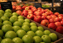 Retail Food Health Scores for Cannon County June 11, 2026 apples ai