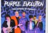 The Mockingbird Theater Presents Purple Evolution – The Genius of Prince Tribute Band