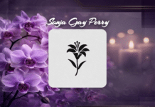 OBITUARY: Sonja Gay Perry