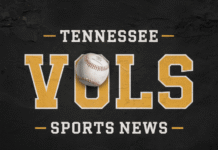 Tennessee Softball Falls in National Semifinals