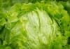 Taylor Fresh Foods Recalls Iceberg Lettuce Over Possible Cyclospora Contamination