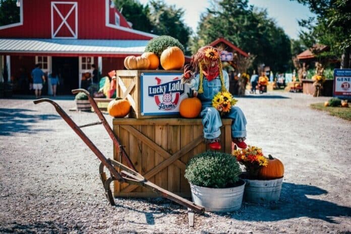 Lucky-Ladd-Farms-Sign