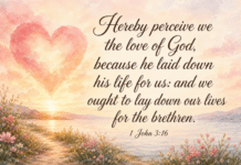 Daily Devotional: The Power of Love in Action Devotional image for 1 John 3:16
