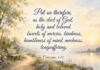 Daily Devotional: Embracing the Spirit of Patience Devotional image for Colossians 3:12