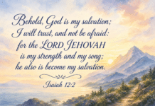 Daily Devotional: Finding Strength in Trust Devotional image for Isaiah 12:2
