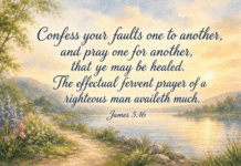 Daily Devotional: The Power of Prayer and Confession Devotional image for James 5:16