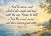 Daily Devotional: Finding Peace in the Storms of Life Devotional image for Mark 4:39