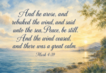 Daily Devotional: Finding Peace in the Storms of Life Devotional image for Mark 4:39