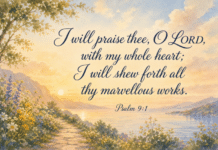 Daily Devotional: Embracing a Heart of Gratitude Devotional image for Psalm 9:1