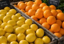 Retail Food Health Scores for Cannon County July 13, 2026 health scores
