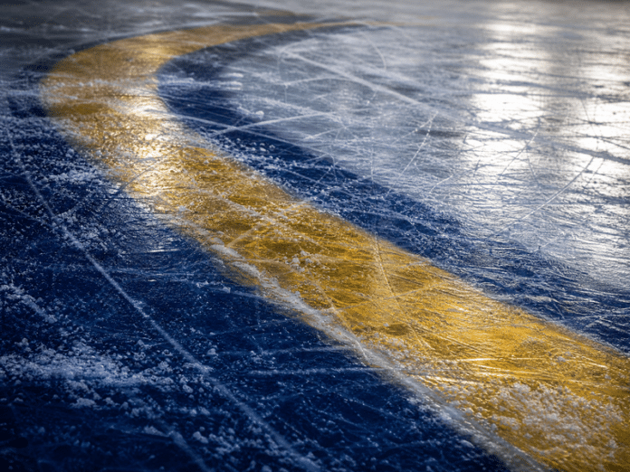 preds