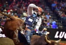 Nashville Stampede Brings Professional Bull Riding to Bridgestone Arena