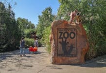 Metro Takes Step to Block Proposed Data Center Near Zoo