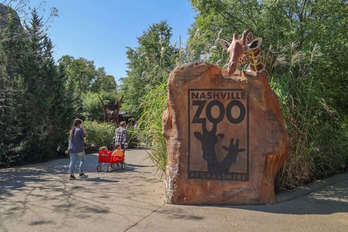 Nashville Zoo -70