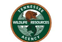 Tennessee Dove Season Opens Sept. 1 TWRA-Logo
