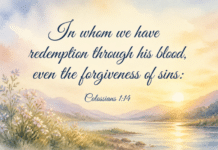 Daily Devotional: The Gift of Forgiveness Devotional image for Colossians 1:14
