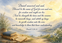 Daily Devotional: Embracing Divine Wisdom Devotional image for Daniel 2:20-21