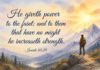 Daily Devotional: Finding Strength in Our Weakness Devotional image for Isaiah 40:29