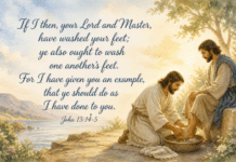 Daily Devotional: The True Essence of Leadership Devotional image for John 13:14-15