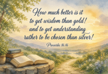 Daily Devotional: The Value of Wisdom Devotional image for Proverbs 16:16