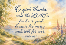 Daily Devotional: Embracing Gratitude in Every Moment Devotional image for Psalm 118:1