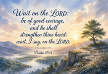Daily Devotional: Finding Strength in Patience Devotional image for Psalm 27:14
