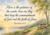 Daily Devotional: Embracing Patience in Faith Devotional image for Revelation 14:12