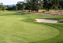 2026 Lipscomb Baseball Alumni and Friends Golf Scramble Set for Oct. 23 golf