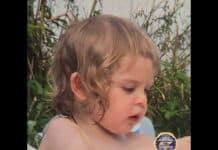 Amber Alert Issued for 2-Year-Old Atreus Johann Bird in Greene County Atreus Johann Bird