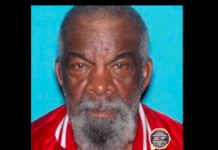 Silver Alert Issued for Missing 84-Year-Old Nashville Man