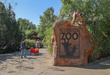 Nashville Zoo, Keebler Bring Back Spookie Stripes Safari Scavenger Hunt