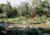 Nashville Zoo Opens New South American Habitat With Capybara Pups, Giant Anteater