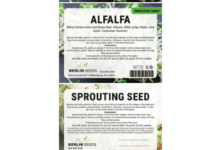 Alfalfa Sprouting Seeds Recalled Over E. Coli, Salmonella Risk