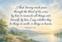 Daily Devotional: The Gift of Peace Through Reconciliation Devotional image for Colossians 1:20