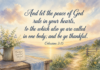 Daily Devotional: Embracing the Peace of Gratitude Devotional image for Colossians 3:15