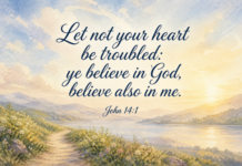 Daily Devotional: Finding Comfort in Faith Devotional image for John 14:1