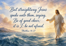Daily Devotional: Finding Courage in Challenging Times Devotional image for Matthew 14:27