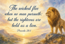 Daily Devotional: Embracing Courage in Our Lives Devotional image for Proverbs 28:1