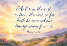 Daily Devotional: Embracing the Gift of Forgiveness Devotional image for Psalm 103:12