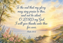 Daily Devotional: The Power of a Grateful Heart Devotional image for Psalm 30:12