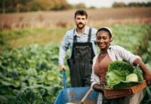 MTSU Receives Grant To Expand Farmer Mental Health Resources
