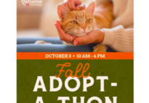 Petsense by Tractor Supply Hosting Fall Adoptathon With Goal of 1,200 Pet Adoptions