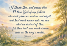 Daily Devotional: The Power of Gratitude Devotional image for Daniel 2:23