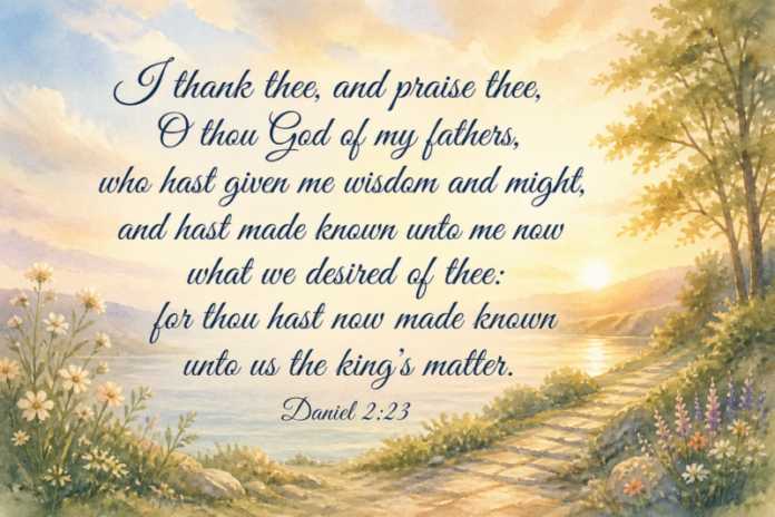 Devotional image for Daniel 2:23