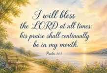 Daily Devotional: The Power of Gratitude in Every Moment Devotional image for Psalm 34:1