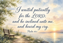Daily Devotional: Embracing Patience in Our Lives Devotional image for Psalm 40:1